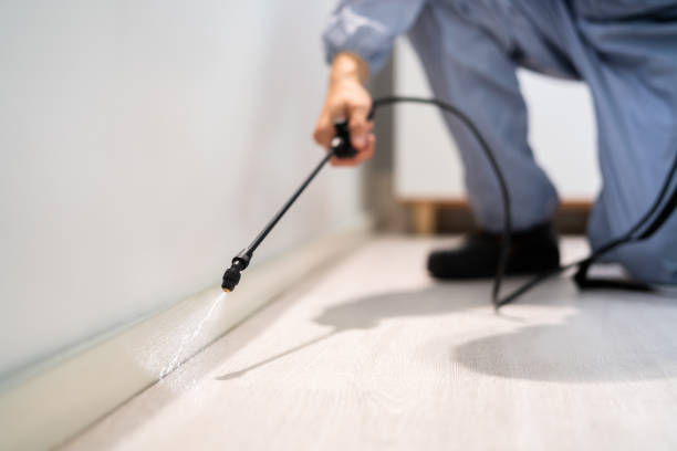 Licensed Rodent Control service in Clifton Forge, VA - Nex Pest Control