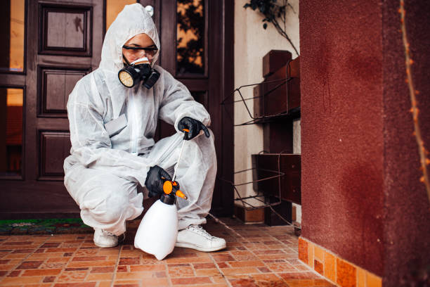 Reliable Rodent Control contractor in Clifton Forge, VA by Nex Pest Control