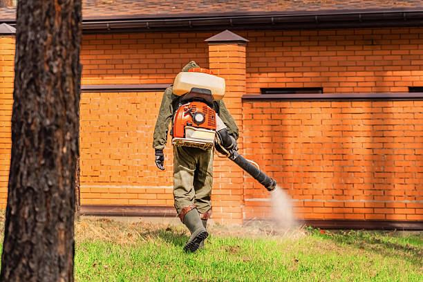 Trusted Bed Bug Control service in Clifton Forge, VA - Nex Pest Control